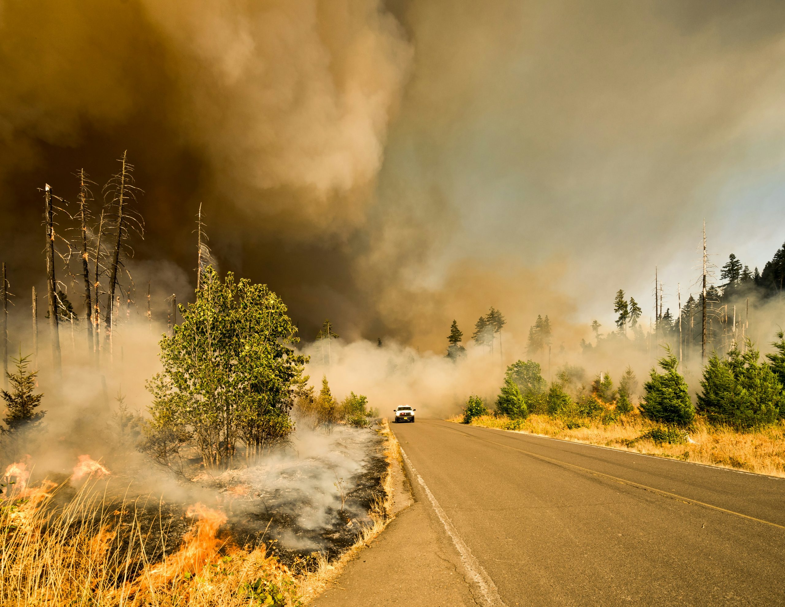Wildfire burning through dry grass beside a two-lane road as a vehicle drives through heavy smoke.